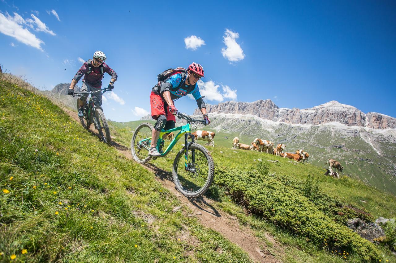 Linder Cycling Hotel Selva di Val Gardena Esterno foto